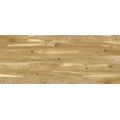 EBS V-Wood dřevěná podlaha 13x220 1-lamela Dub Country, lak