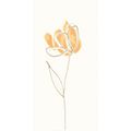 Rako Tulip WITMB009 dekor 19,8x39,8 oranžová