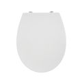 Ideal Standard WC sedátko bílé E131701 - galerie #1
