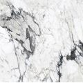 Rex Les Bijoux dlažba 120x120 calacatta altissimo blanc matte 6mm