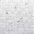 EBS Marble mozaika 31,6x31,6 calacatta