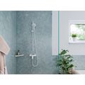 Hansgrohe Raindance Select S Ruční sprcha 12,5 cm, s EcoSmart, bílá matná 26531700 - galerie #1
