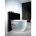 Roca Meridian In-Tank WC s integrovanou nádrží, bílá A893303000 - galerie #3