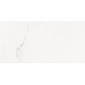Rako Vein WARVK233 dekor obklad 29,8x59,8 bílá matná 8 mm rekt. - galerie #6