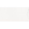 Rako Vein WARVK233 dekor obklad 29,8x59,8 bílá matná 8 mm rekt. - galerie #5