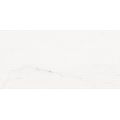 Rako Vein WARVK233 dekor obklad 29,8x59,8 bílá matná 8 mm rekt. - galerie #3