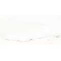 Rako Vein WAKVK233 obklad 29,8x59,8 bílá matná 8 mm rekt. - galerie #1