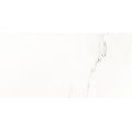 Rako Vein WAKVK133 obklad 29,8x59,8 bílá lesklá 8 mm rekt. - galerie #6